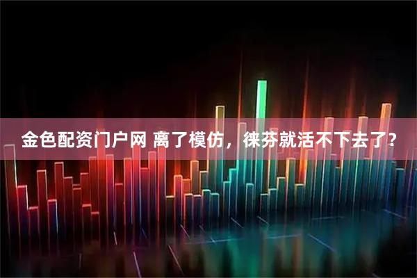 金色配资门户网 离了模仿，徕芬就活不下去了？